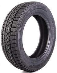 Шина Mazzini Snow Leopard 2 245/45R18 100T