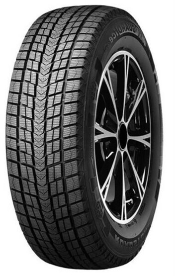 Шина Roadstone Winguard Ice Plus 245/45R19 102T